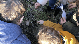 Kinderen op zoek naar bodemdiertjes