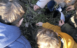 Kinderen op zoek naar bodemdiertjes