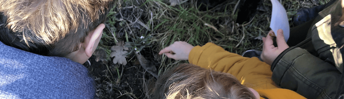 Kinderen op zoek naar bodemdiertjes