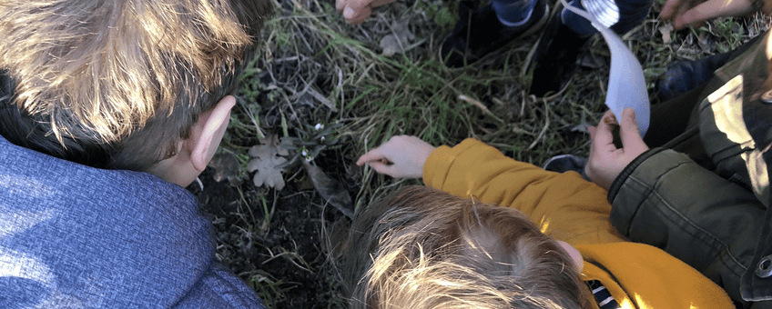 Kinderen op zoek naar bodemdiertjes