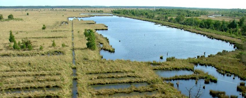 Fochteloërveen
Foto: Gouwenaar, Wikipedia