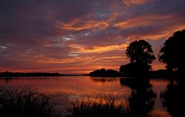 © Wild Wonders of Europe / Dieter Damschen / WWF Rivier de Elbe, Duitsland