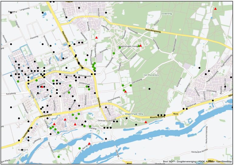 Kaart van de gemeente Wageningen met alle waarnemingen van egels sinds 2013 (zwarte stipjes), nieuwe waarnemingen met behulp van een cameraval (groene stipje) en tuinen zonder egel (rode driehoekjes)