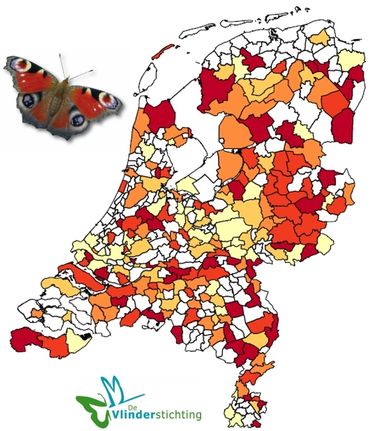 De dagpauwoog zal waarschijnlijk de komende week meer gezien gaan worden