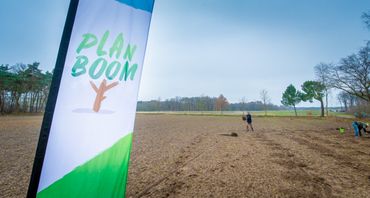 Campagne Plan Boom 