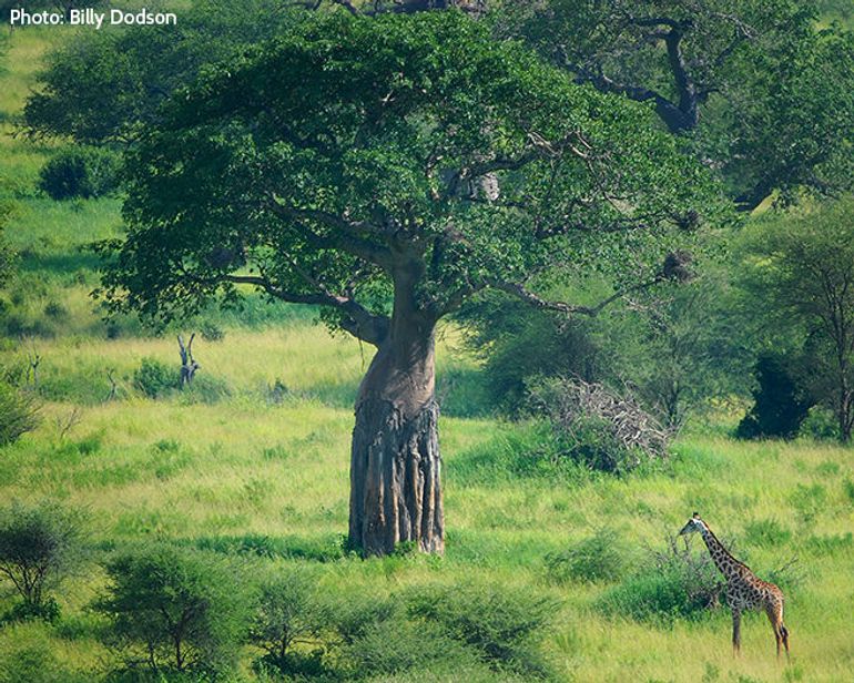 Protected land