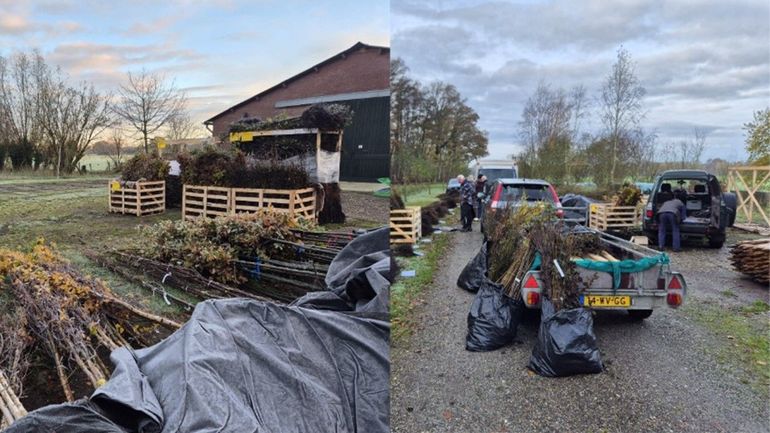 Impressie van de werkzaamheden op de Veluwe