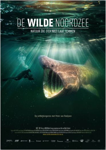 Filmposter 'De Wilde Noordzee'