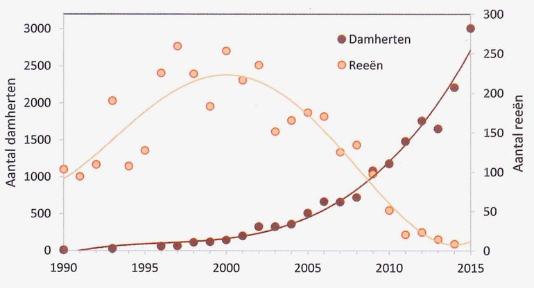 Ontwikkeling van de aantallen damherten en reeën in de Amsterdamse Waterleidingduinen sinds 1990