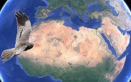 Eenmalig gebruik WGK - Google Earth en Theo van Kooten collage eenmalig gebruik