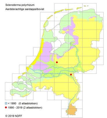 Verspreidingskaartje Aardsterachtige aardappelbovist