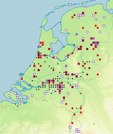 Verspreiding van de iepenzigzagbladwesp. De zwarte punten geven de waarnemingen in 2014 aan, de rode stippen de waarnemingen in 2015 en de witte vierkanten de waarnemingen in 2016