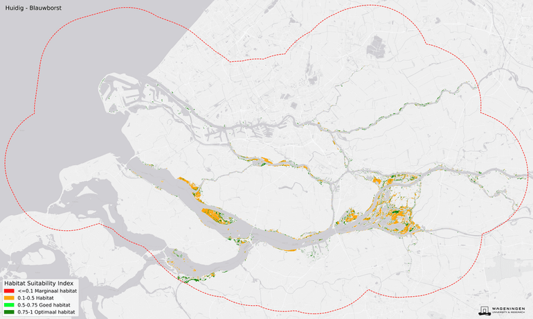 Huidige habitatgeschiktheid voor de blauwborst