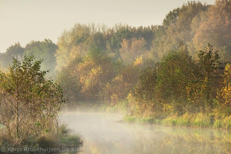 Hunzedal in de mist