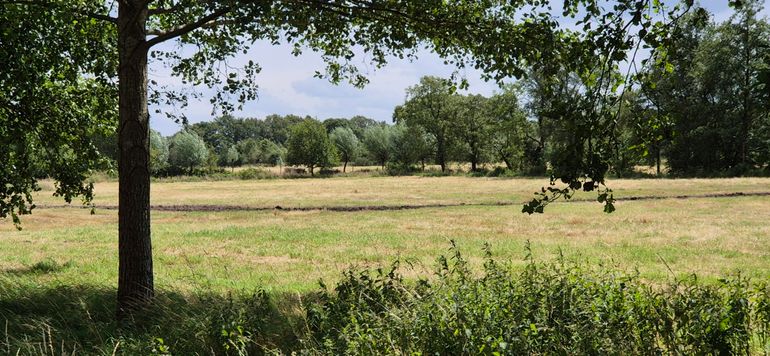 Samen met de omringende boeren wil Etienne nu een groene verbinding mogelijk maken tussen de verschillende natuurgebieden