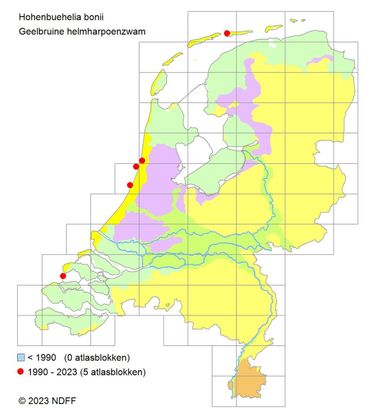 Verspreidingskaartje Geelbruine helmharpoenzwam