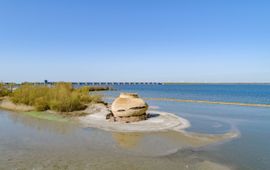 Merijn Koelink Vogelobservatorium Tij brengt deltantuur Haringvliet dichtbij