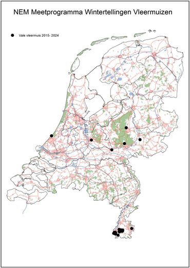 Waarnemingen van vale vleermuizen tijdens wintertellingen