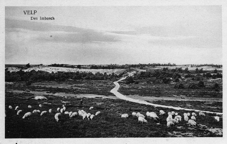 Heide bij Velp tussen 1921 en 1930