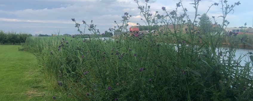 Op de voorgrond het voormalige landbouwperceel dat ingericht wordt met natuurzones. eenmalig gebruik