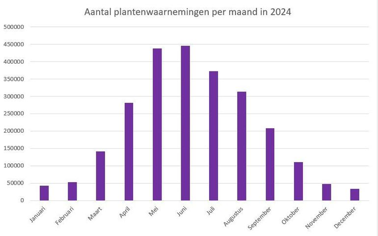 Aantal waarnemingen per maand in 2024