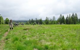 Kars Veling veengebied Ardennen - primair