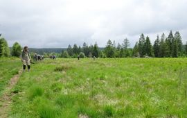 veengebied Ardennen - primair