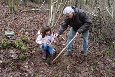 Jong en oud planten mee om het bos gezonder te maken