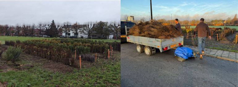 Impressie van de werkzaamheden in Limburg