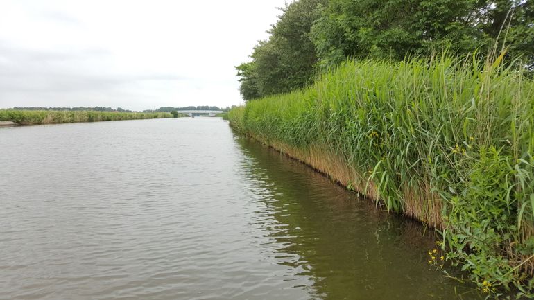 Het Omval-Kolhorn kanaal heeft strakke oevers met beschoeiing waardoor er weinig opgroeimogelijkheden zijn voor jonge vis (deze foto). Langs het Omval-Kolhorn kanaal zijn natuurvriendelijke oevers aangelegd die functioneren als kraamkamer voor vissen (zie leadfoto)