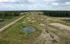 Natuurbrug Crailoo