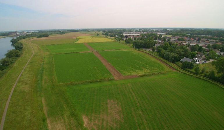 De Struikwaard gezien vanuit de lucht