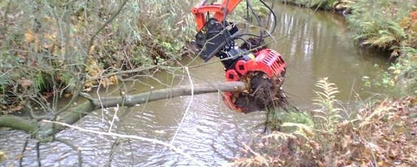 Inbrengen van dood hout in de Tongelreep in 2011