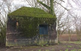 Wiegert Steen Bunkers van de Nieuwe Hollande Waterlinie Wiegert Steen