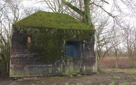 Bunkers van de Nieuwe Hollande Waterlinie  Wiegert Steen