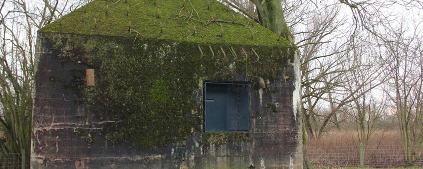 Bunkers van de Nieuwe Hollande Waterlinie  Wiegert Steen