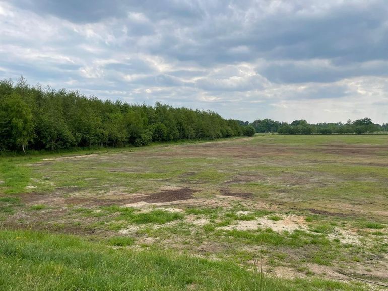 De grond werd afgeplagd en het gebied natter gemaakt. Minder voedingsstoffen en meer kwel vergroten de kansen voor bijzondere natuur