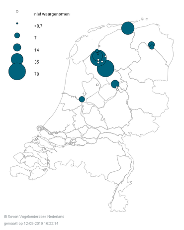 Slaapplaatsen reuzensterns 2019