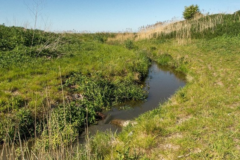 De vistrap bij de Kitstocht in de Oostvaardersplassen, een bekkenstuwpassage die werkt met een trapsgewijze reeks bekkens, waarin water stroomt door hoogteverschillen. Deze stelt vissen in staat toch de dam in de Kitstocht te passeren
