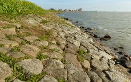 Nederlandse rotskusten van natuursteen: Grote oppervlakken Noordse stenen op de Uitdammerdijk