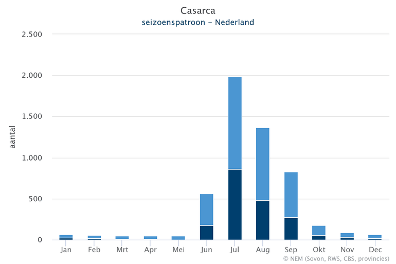 Seizoenspatroon en aantallen van de casarca in Nederland