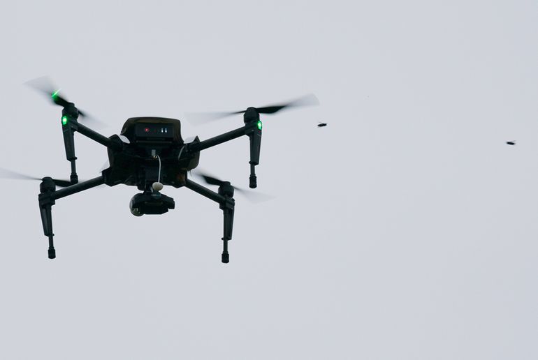 Aziatische hoornaars inspecteren de onderzoeksdrone