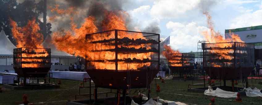 Verbranding van neushoorn-hoorn in Assam, India