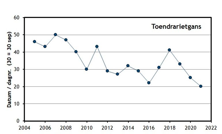 Aankomst van kolgans en toendrarietgans in Nederland volgens gegevens van Trektellen.nl. Als datum van eerste aankomst geldt de datum waarop voor het eerst over alle telposten samen vijfhonderd overvliegende kolganzen werden geteld; voor toendrarietgans is uitgegaan van honderd vogels. Op de y-as staan de dagnummers vanaf 1 september