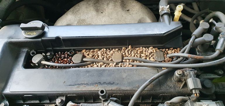 Deze voorraad zaadjes onder de motorkap is het werk van een ijverige muis