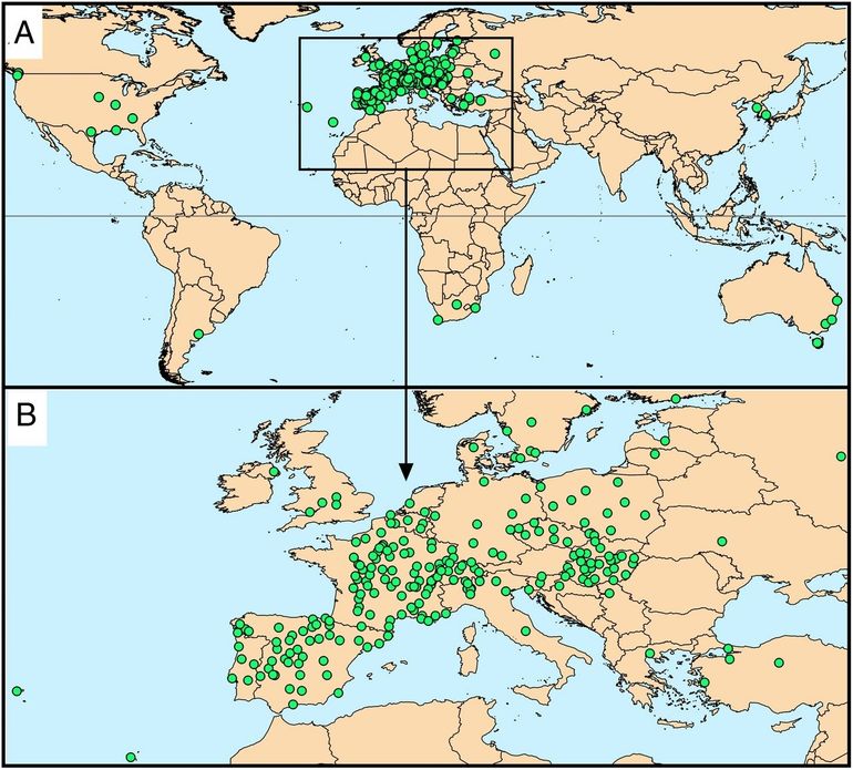 Alle pollenmonitoringstations meegenomen in de studie. (A) Wereldwijd overzicht. (B) Alle Europese pollenmonitoringstations