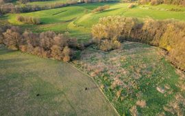 Lars Soerink Begrazing met galloways aan de Gulp bij Slenaken in het heuvelland van Zuid/Limburg