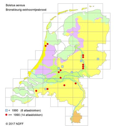 Verspreiding Bronskleurig eekhoorntjesbrood