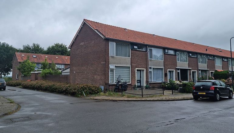 Leefgebied van de huiszwaluw in Breda