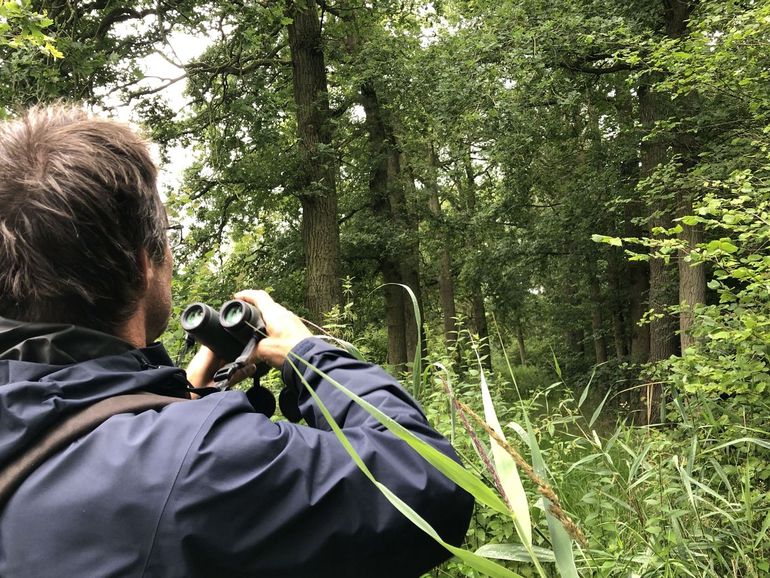 Tijdens een bioblitz gaan lokale natuurkenners met het publiek op pad om in een specifiek gebied de biodiversiteit zo compleet mogelijk in beeld te brengen en de waarnemingen door te geven